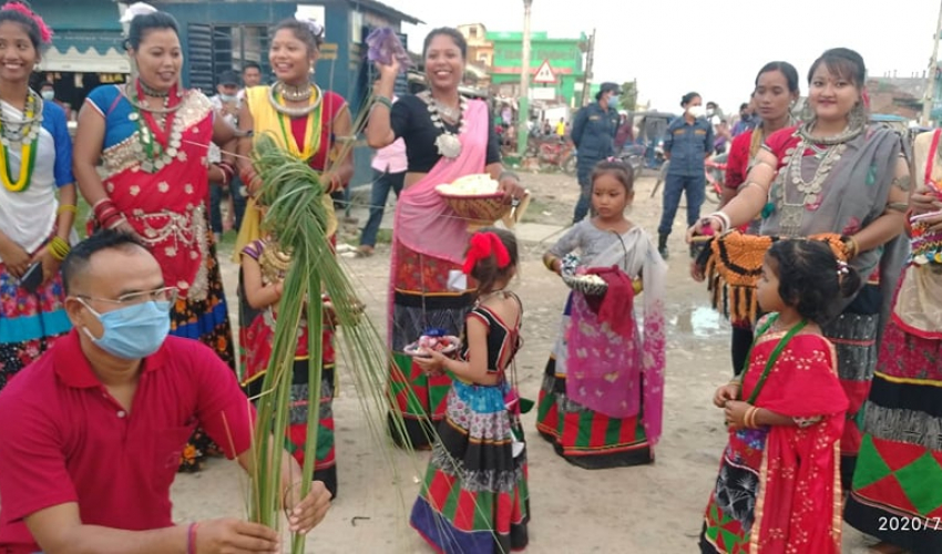 थारू समुदायको ‘गुरही’ पर्वमा विविध आयाम